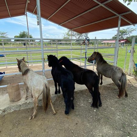 Hotel - Granja de Animales San Basilio de Palenque San Basilio del Palenque Exterior foto